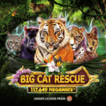 Big Cat Rescue Megaways 150x150